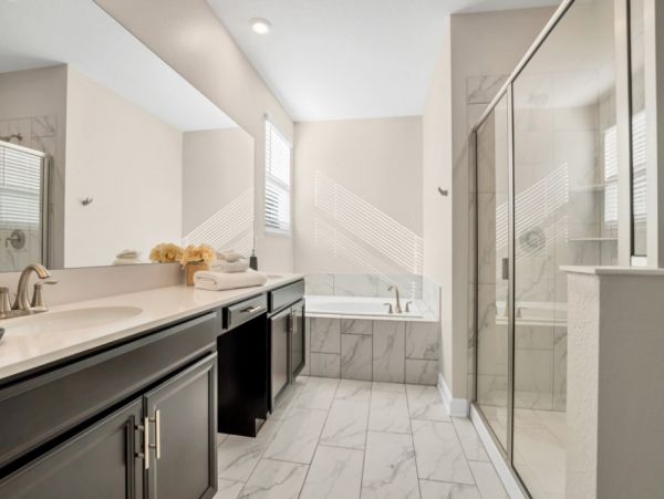 Orlando Home 954101