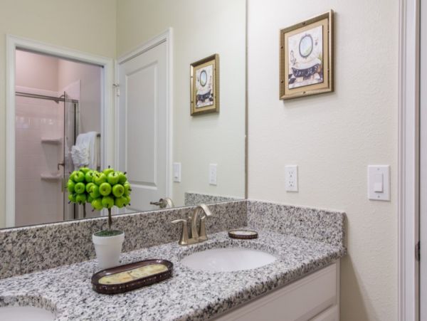 Orlando Home 954108