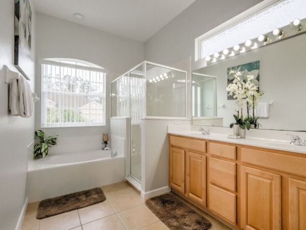 Orlando Home 954110