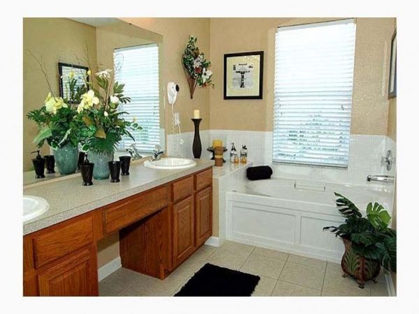 Orlando Home 954134