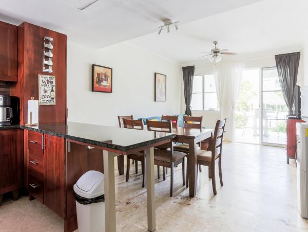 Dominican Republic Condo 954157