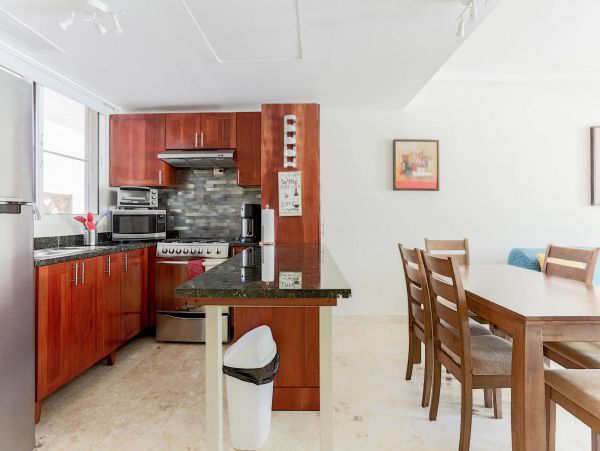 Dominican Republic Condo 954157
