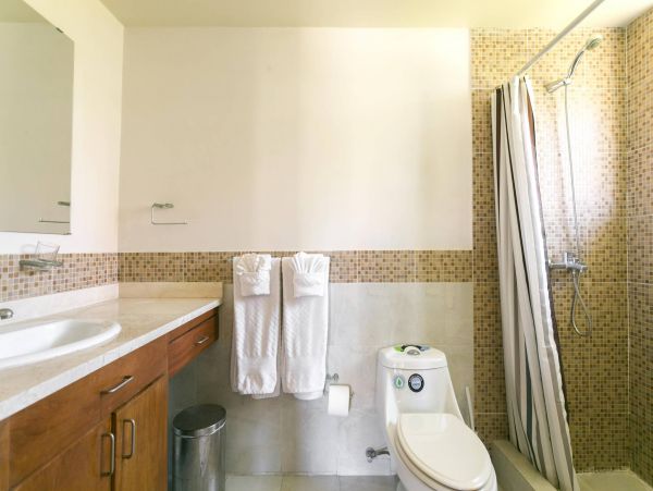 Dominican Republic Condo 954164