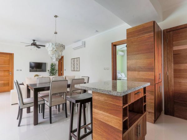 Dominican Republic Condo 954165