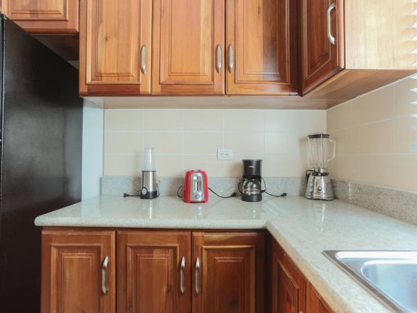Dominican Republic Condo 954170