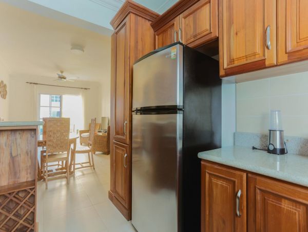 Dominican Republic Condo 954170