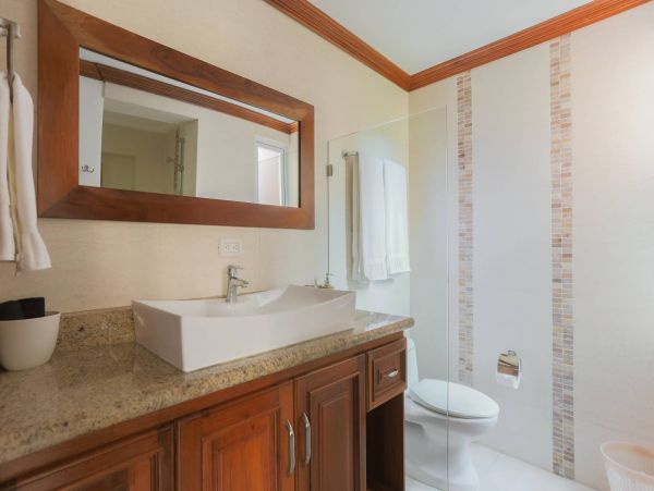 Dominican Republic Condo 954170