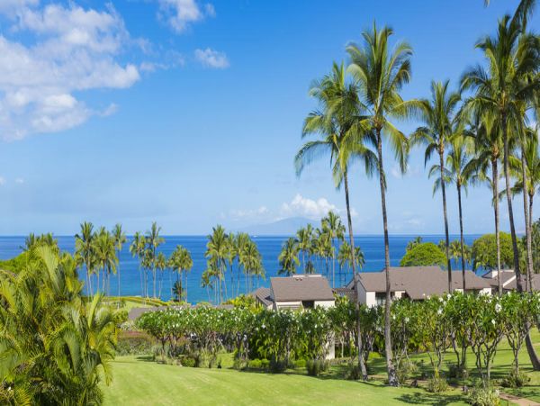 Wailea Condo 954572