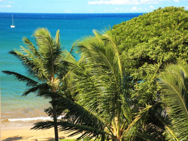 Kihei Condo 954578