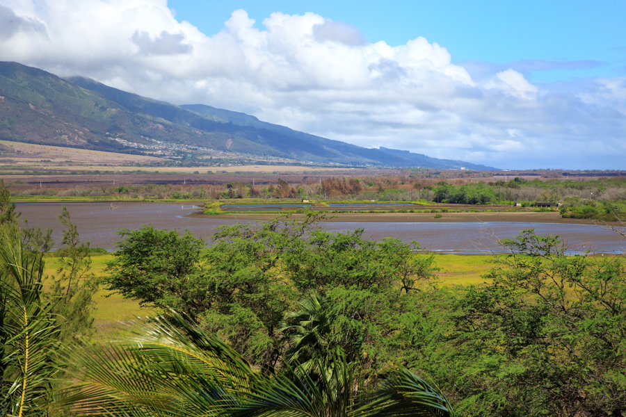 Kihei Condo 954578