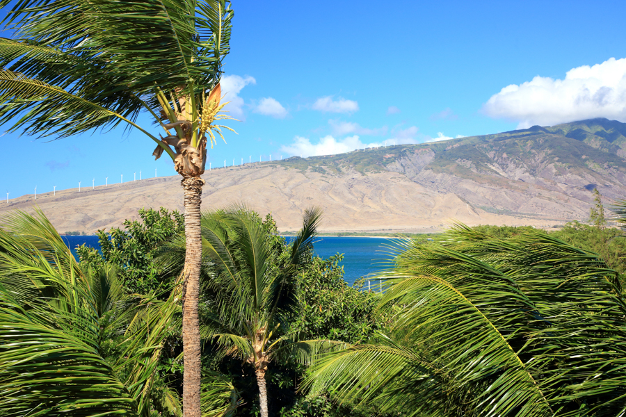 Kihei Condo 954578