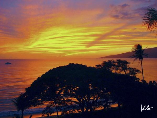 Kihei Condo 954578