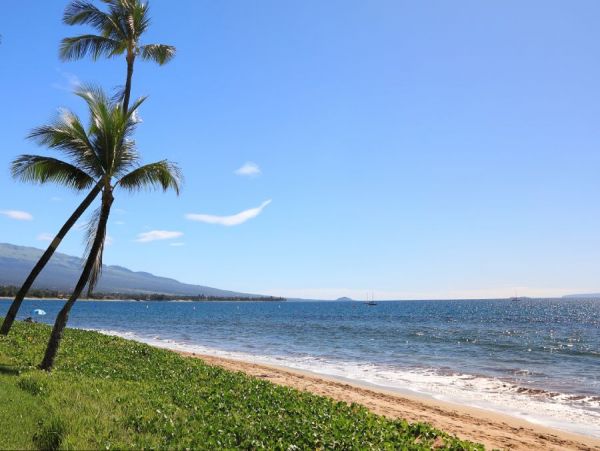 Kihei Condo 954585