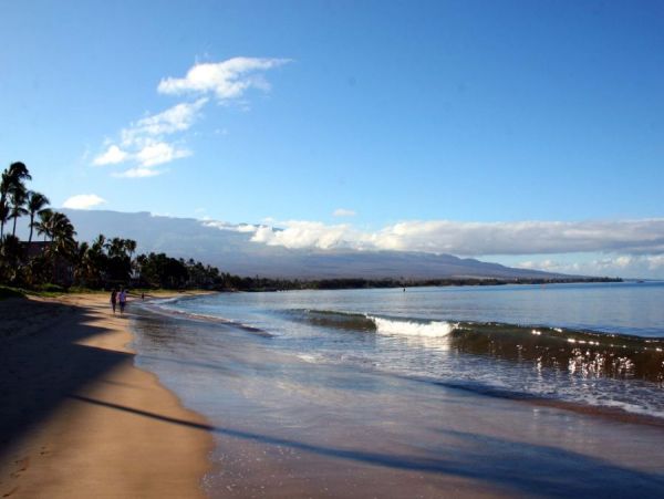 Kihei Condo 954585