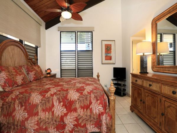 Kahana Condo 954587