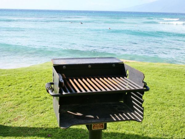 Kahana Condo 954587