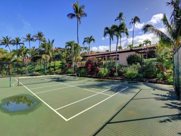 Wailea Condo 954588