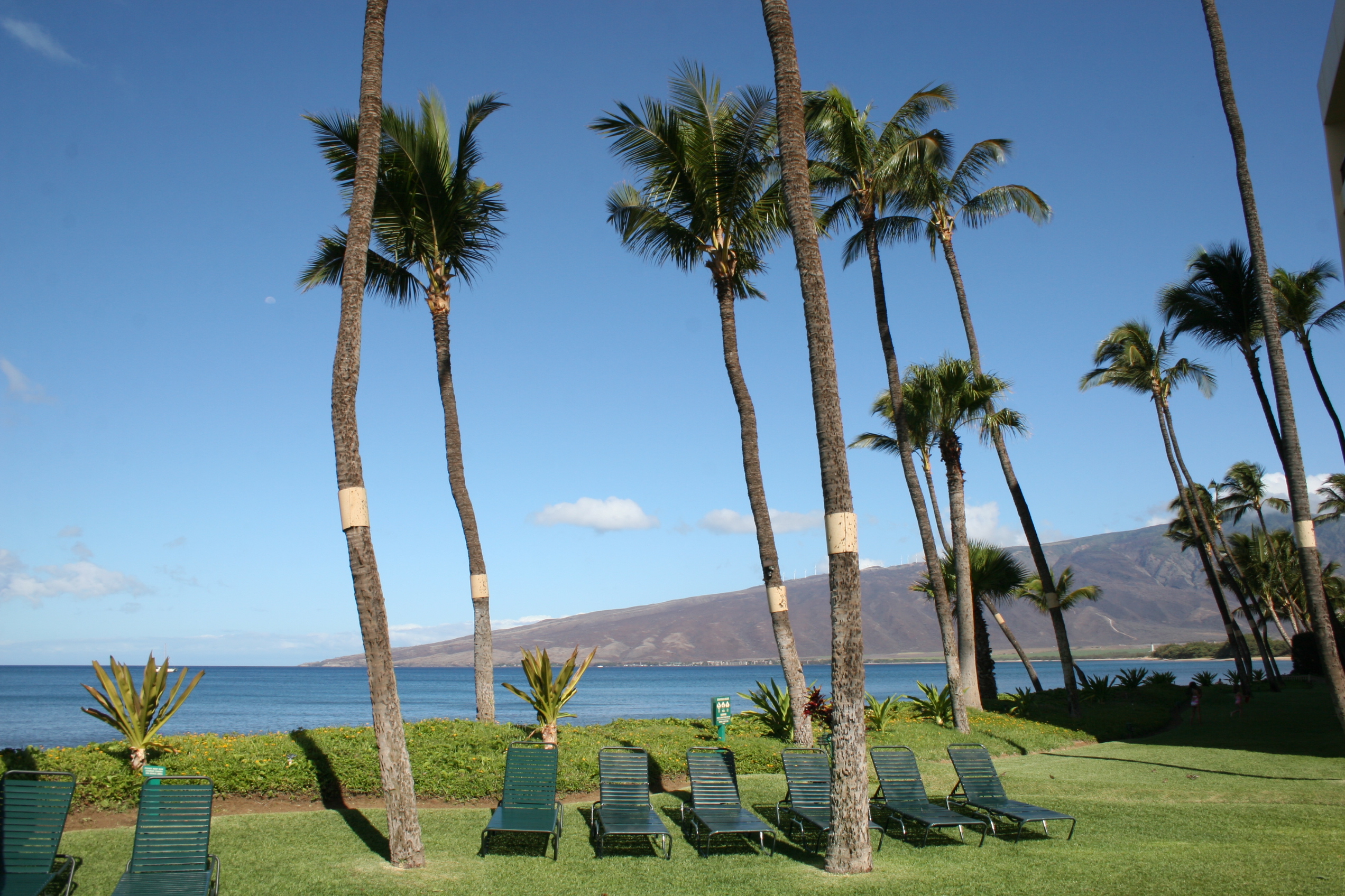 Kihei Condo 954591