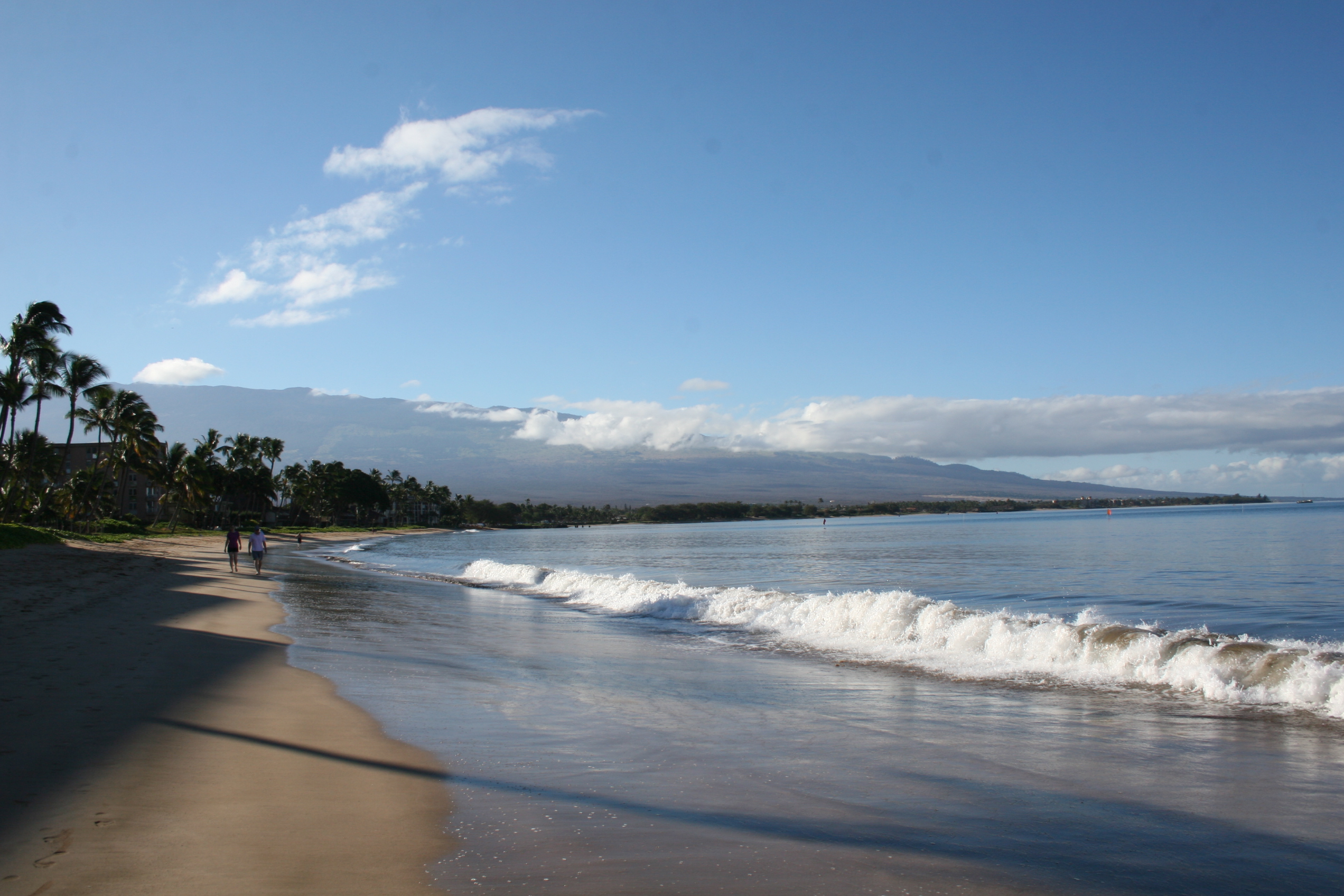 Kihei Condo 954591
