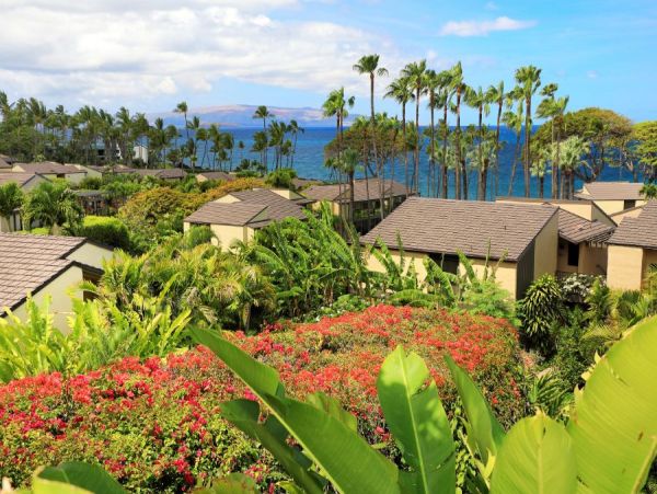 Wailea Condo 954592