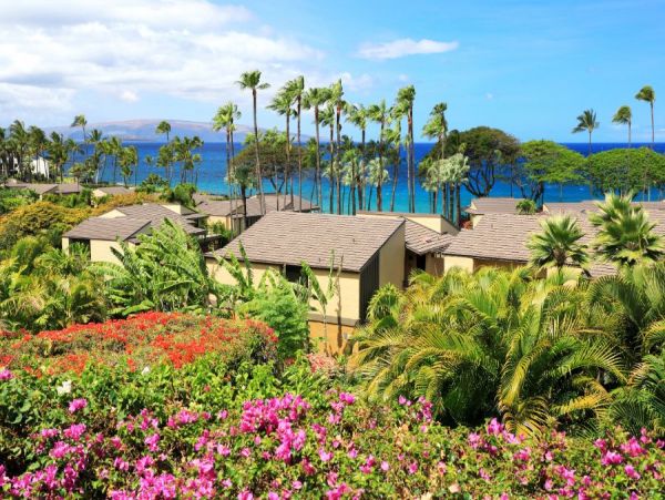 Wailea Condo 954592