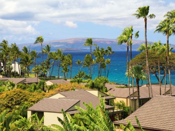Wailea Condo 954592