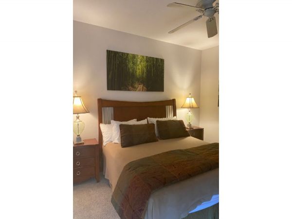 Wailea Condo 954595