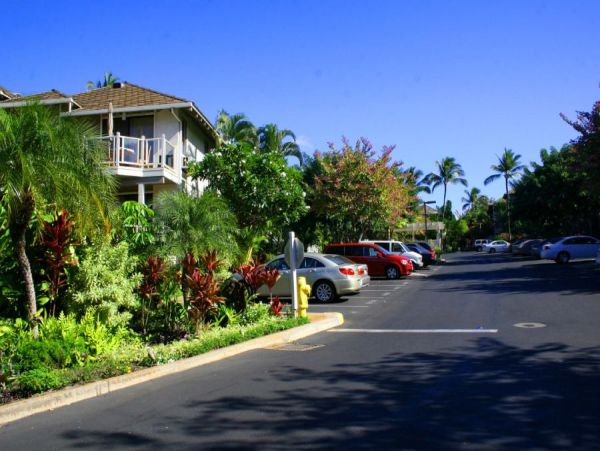 Wailea Condo 954595