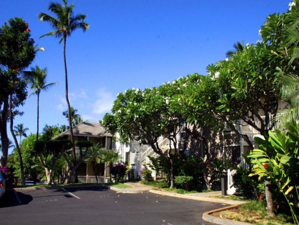 Wailea Condo 954595