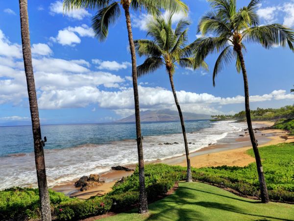 Kihei Condo 954597