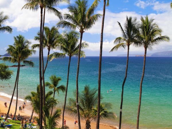 Kihei Condo 954605