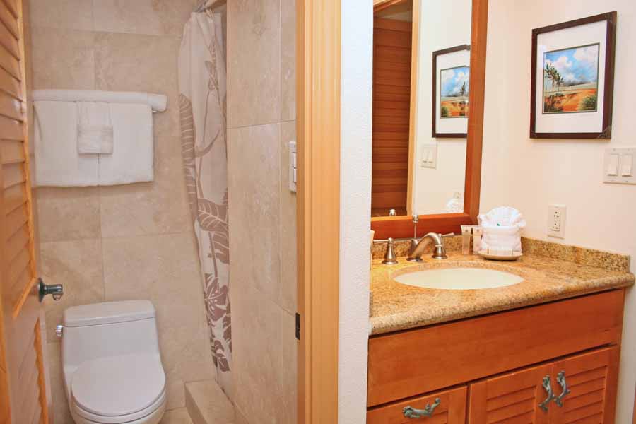 Kihei Condo 954606