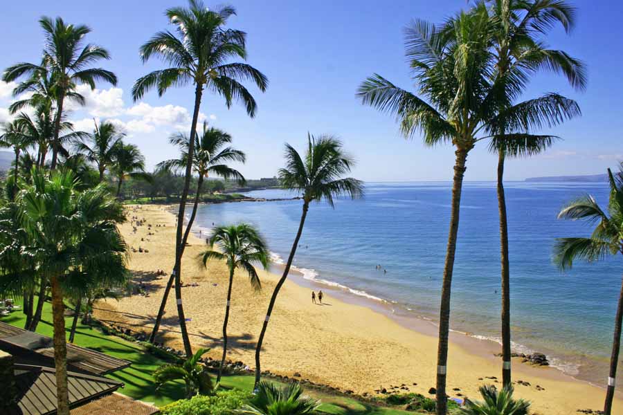 Kihei Condo 954606