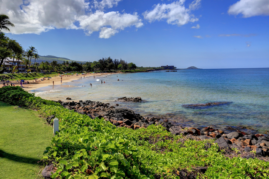 Kihei Condo 954610