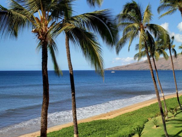 Kihei Condo 954612