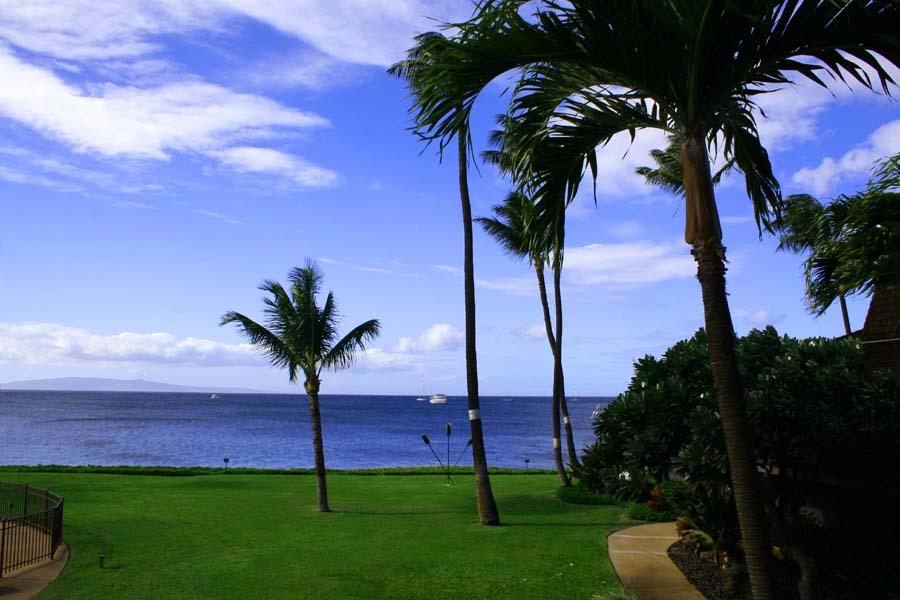 Kihei Condo 954614