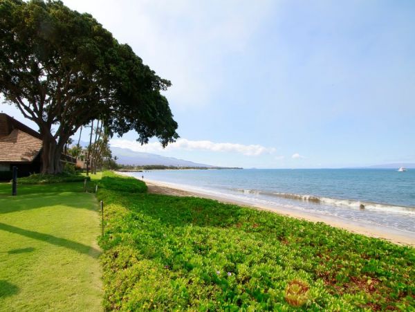Kihei Condo 954614