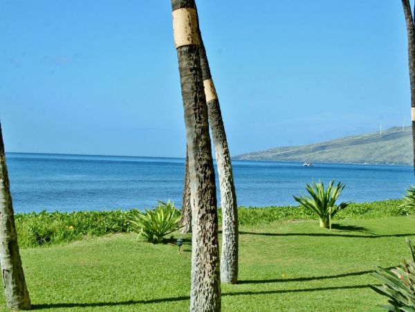 Kihei Condo 954617