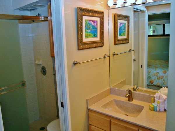 Kihei Condo 954617