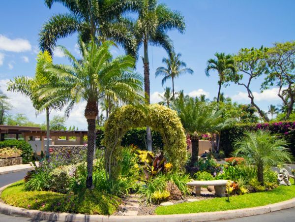 Wailea Home 954622