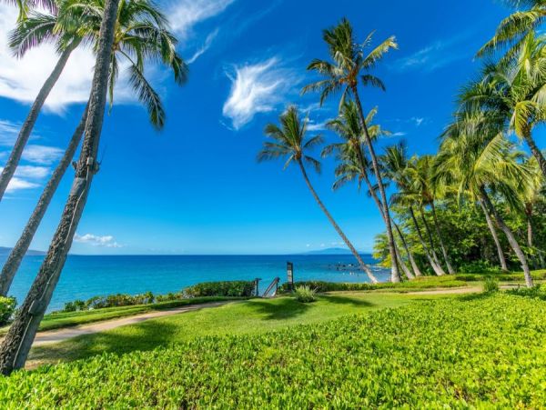Wailea Home 954622