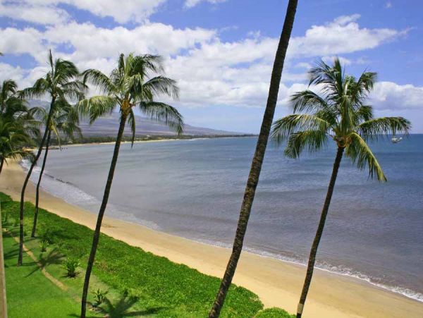 Kihei Condo 954629