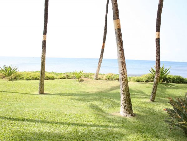 Kihei Condo 954631