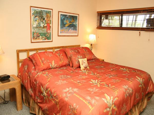 Kihei Condo 954631