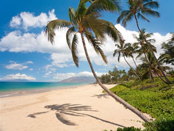 Kihei Condo 954632