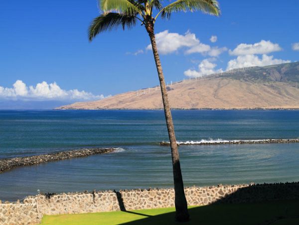 Kihei Condo 954634