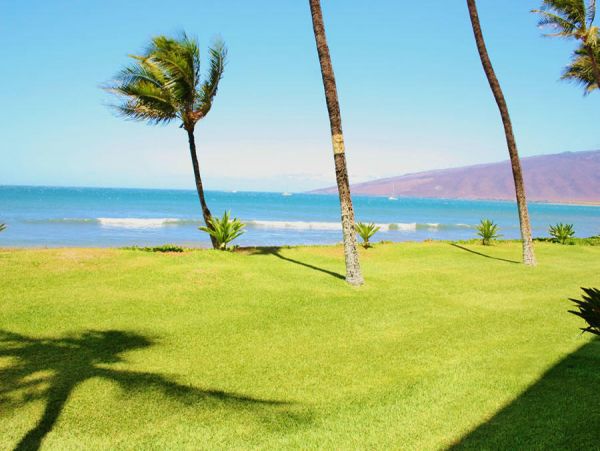Kihei Condo 954643