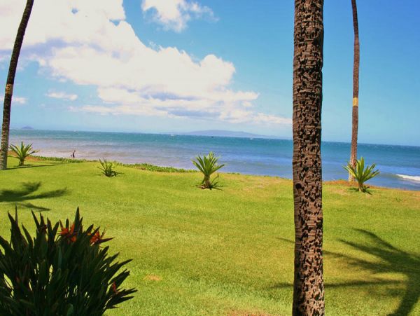 Kihei Condo 954643