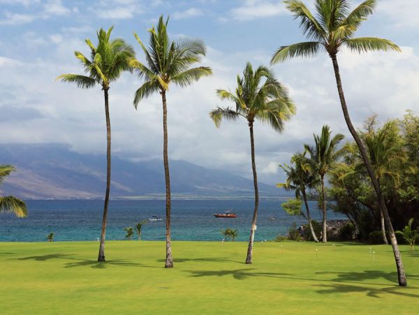 Kihei Condo 954645