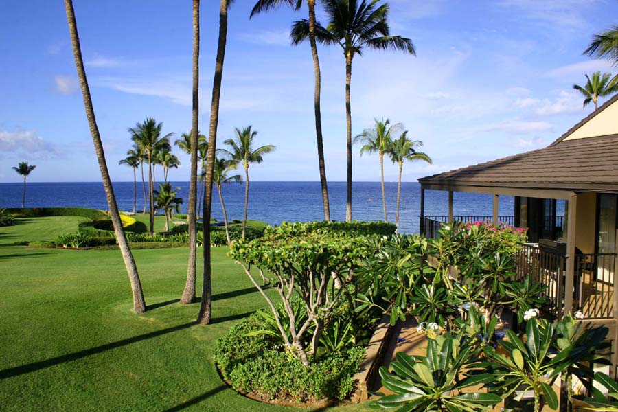 Wailea Condo 954646